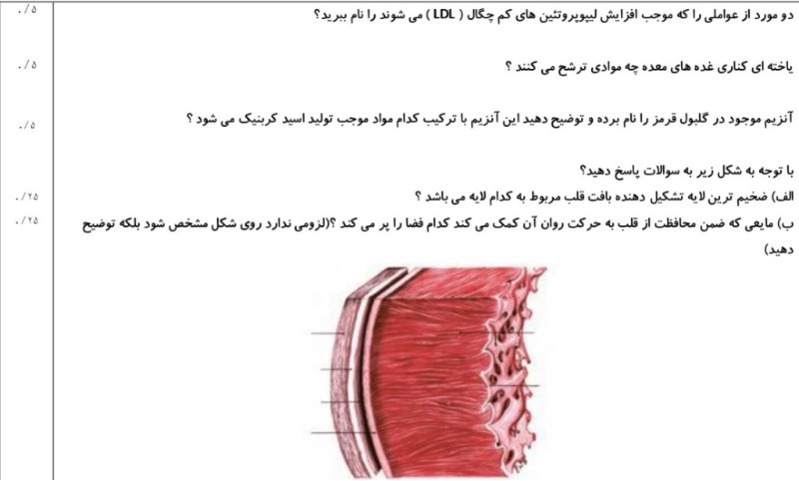 دریافت سوال 5