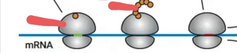 دریافت سوال 2