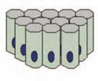 دریافت سوال 3