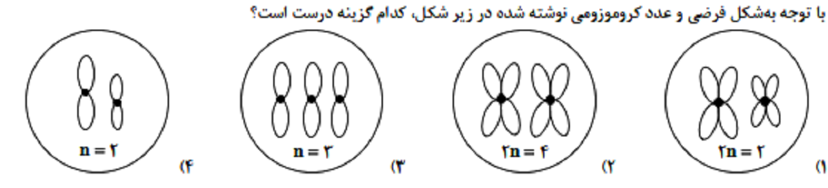 دریافت سوال 9