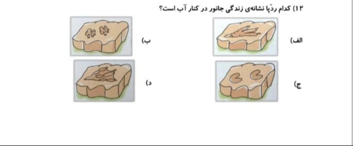 دریافت سوال 3