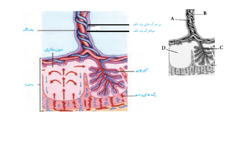 دریافت سوال 28