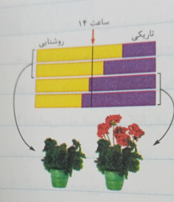 دریافت سوال 30