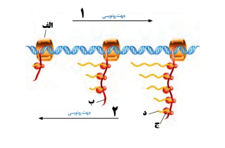 دریافت سوال 50