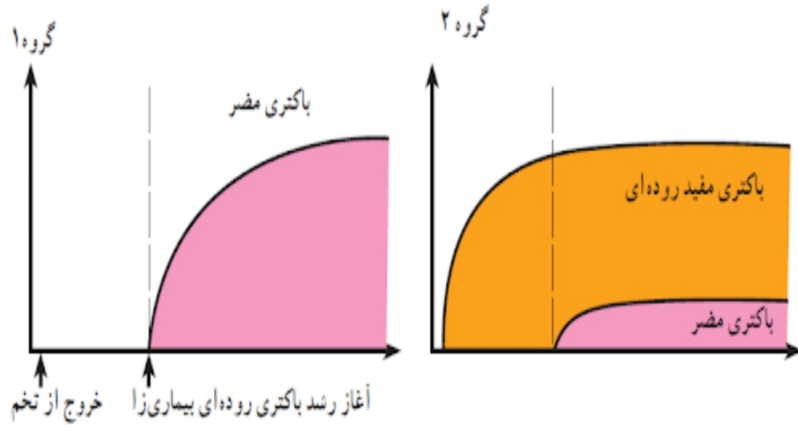 دریافت سوال 5