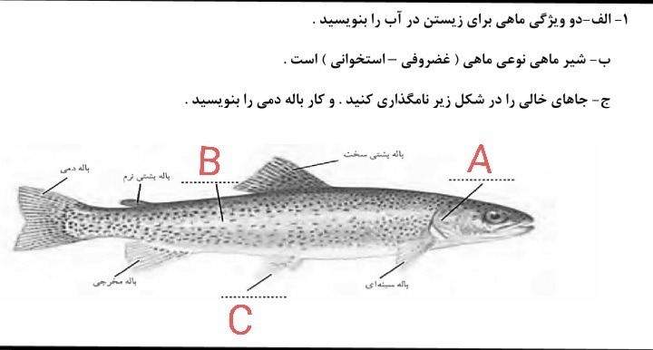 دریافت سوال 11