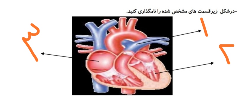 دریافت سوال 7