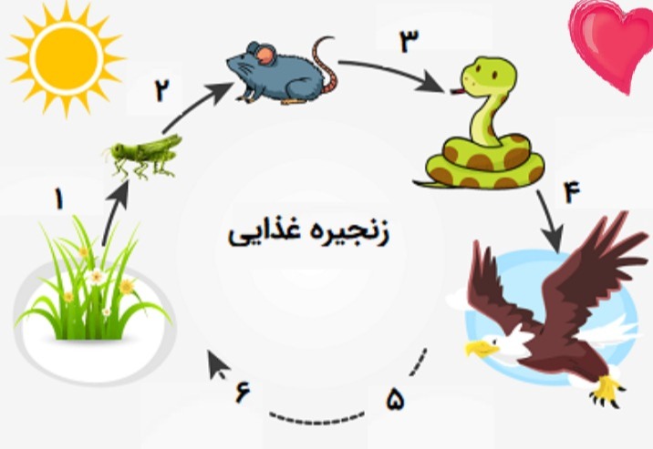 دریافت سوال 7