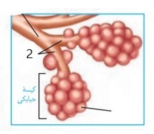 دریافت سوال 38