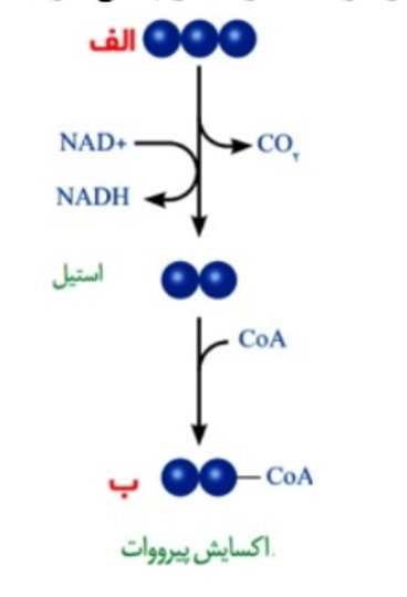 دریافت سوال 16