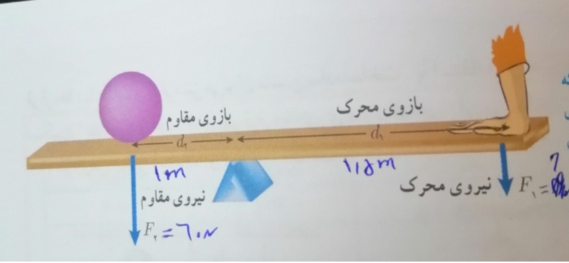 دریافت سوال 7