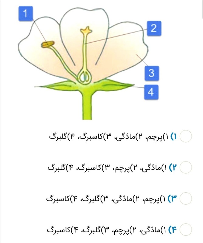 دریافت سوال 22