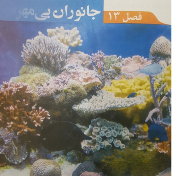 بارگذاری