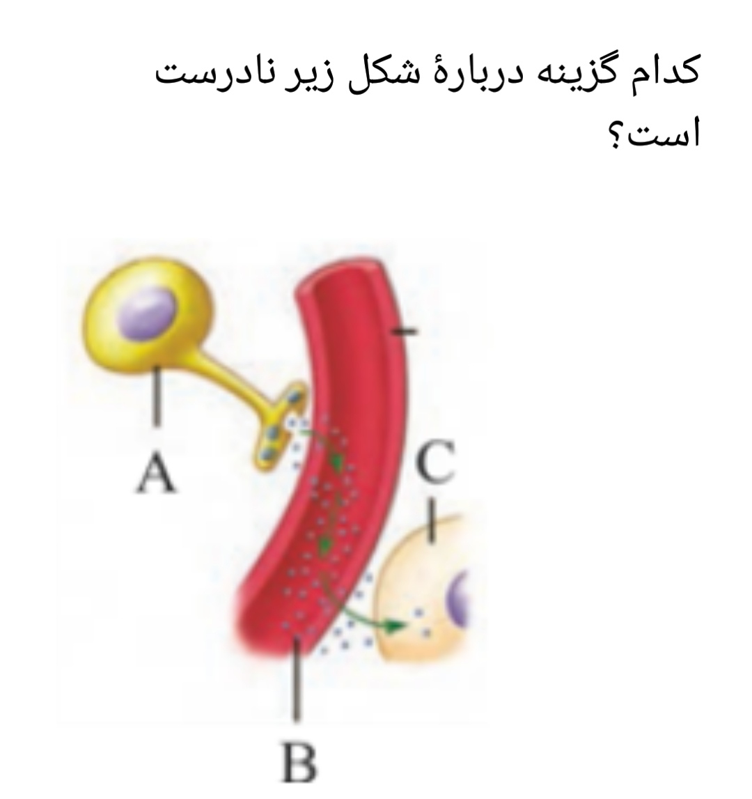 دریافت سوال 7