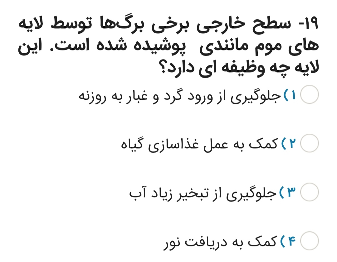 دریافت سوال 19