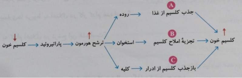 دریافت سوال 6