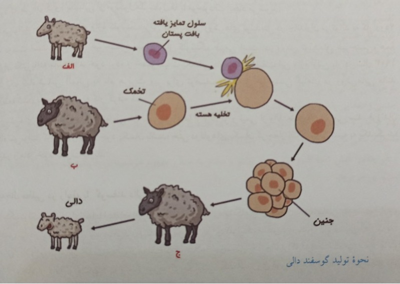 دریافت سوال 22