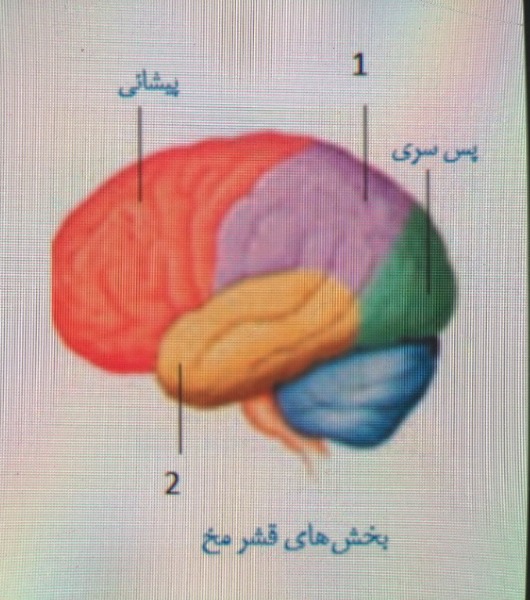 دریافت سوال 3