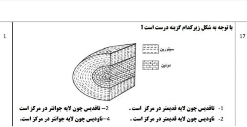 دریافت سوال 13