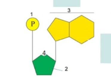 دریافت سوال 3