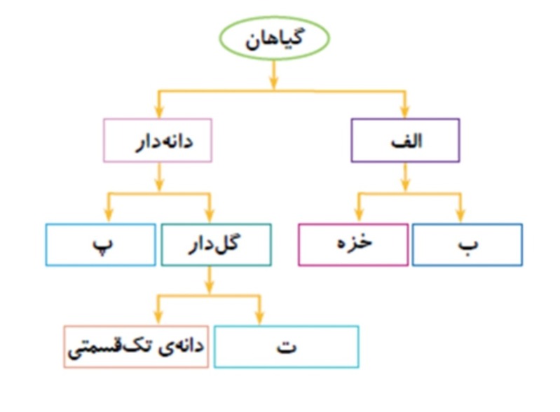 دریافت سوال 13