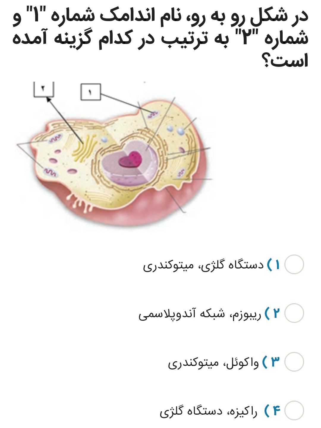 دریافت سوال 7