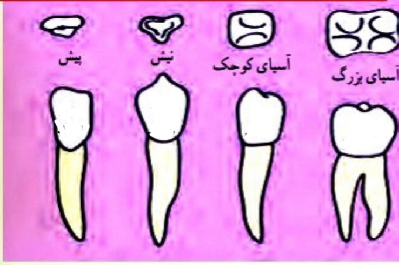 دریافت سوال 4