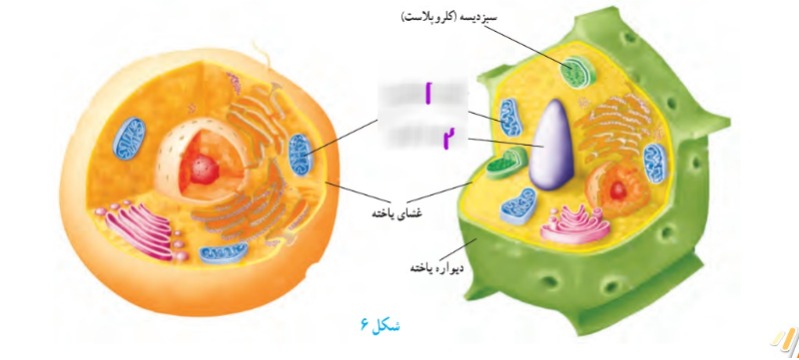 دریافت سوال 9