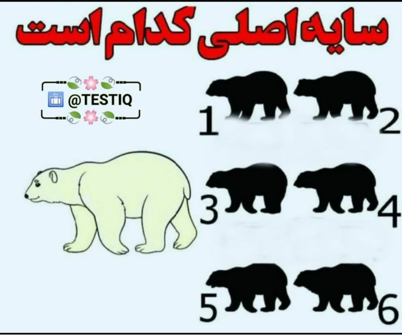 دریافت سوال 5