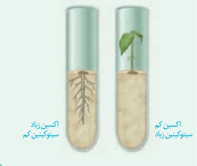 دریافت سوال 9