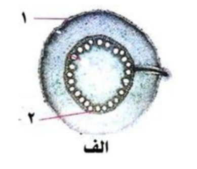 دریافت سوال 25