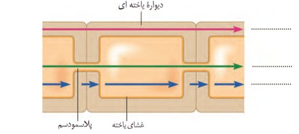 دریافت سوال 27