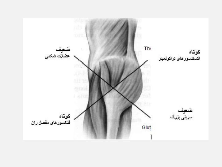 دریافت سوال 2