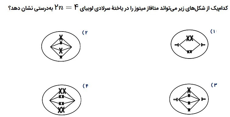 دریافت سوال 27