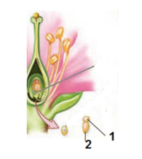 دریافت سوال 9