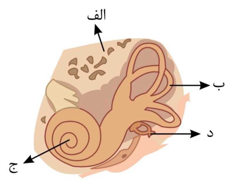 دریافت سوال 6