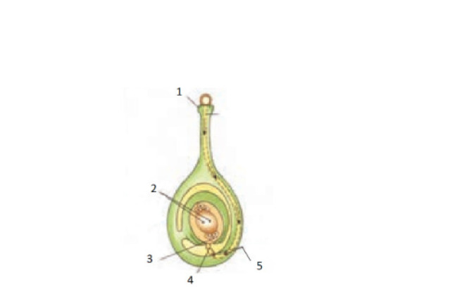 دریافت سوال 15