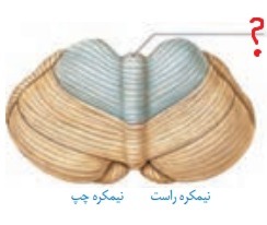 دریافت سوال 6