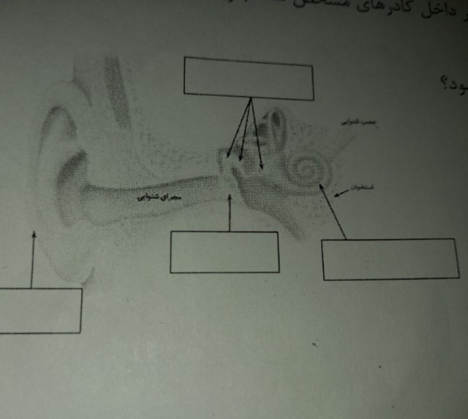 دریافت سوال 15