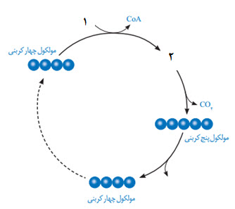 دریافت سوال 15