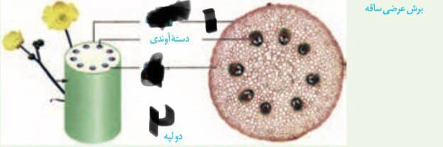 دریافت سوال 34