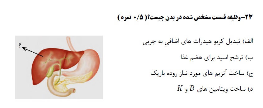 دریافت سوال 23