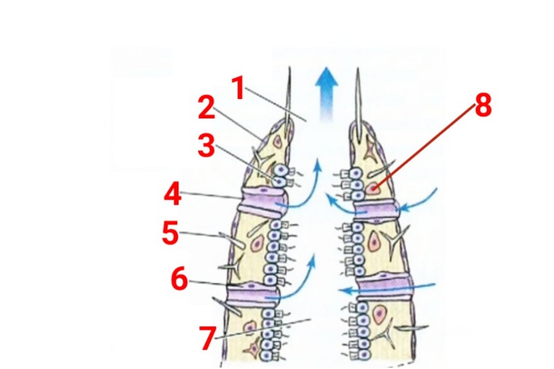 دریافت سوال 7