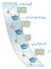 دریافت سوال 16