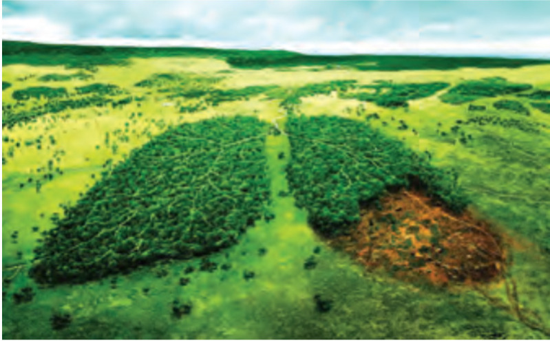 دریافت سوال 81