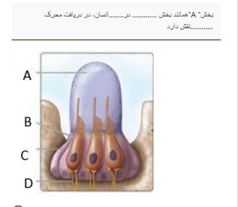 دریافت سوال 17