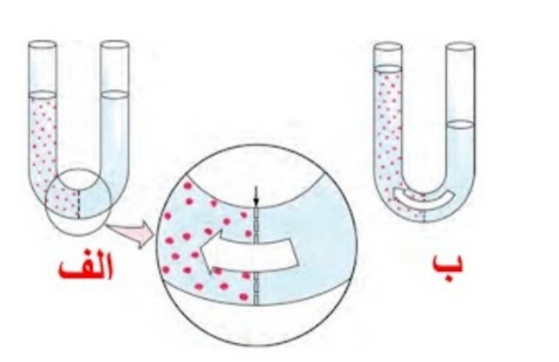 دریافت سوال 13