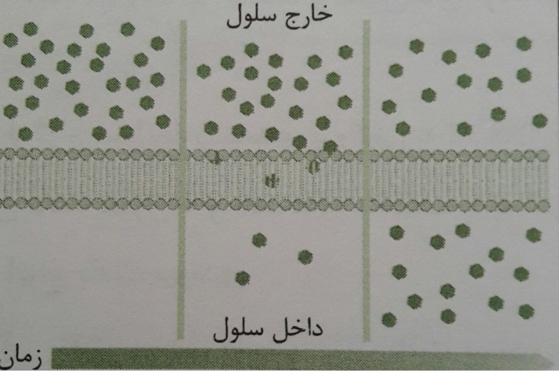 دریافت سوال 1