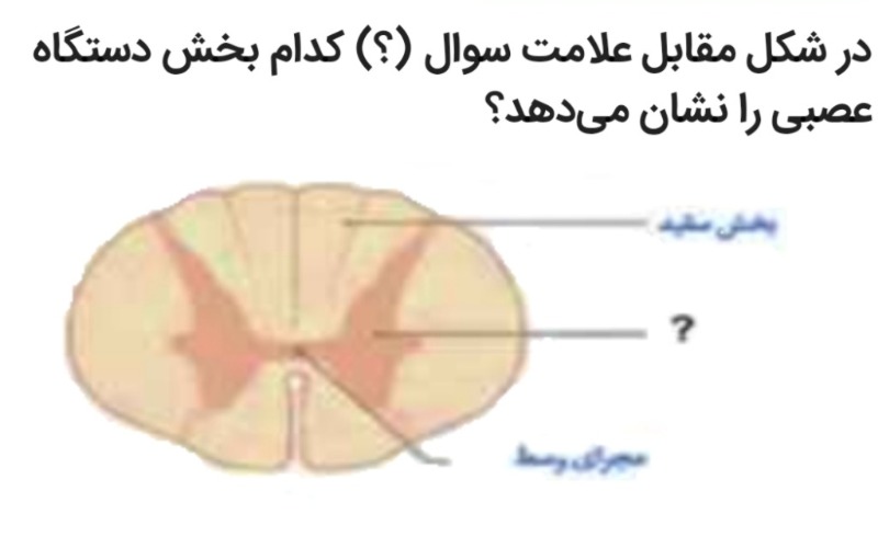 دریافت سوال 2