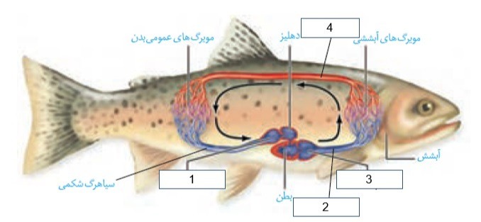 دریافت سوال 9